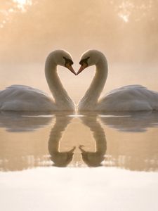 Превью обои лебеди, озеро, любовь, сердце