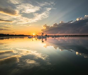 Превью обои лебеди, птицы, горизонт, закат, лучи