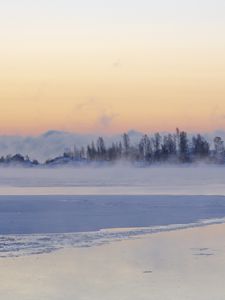 Превью обои лед, деревья, туман, снег, зима, белый