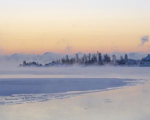 Превью обои лед, деревья, туман, снег, зима, белый