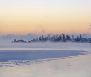 Превью обои лед, деревья, туман, снег, зима, белый