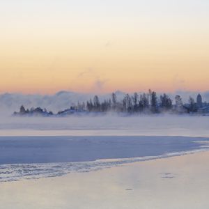 Превью обои лед, деревья, туман, снег, зима, белый