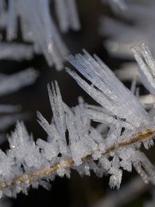 Превью обои лед, кристаллы, ветки, макро, зима