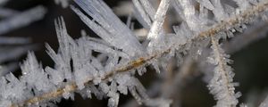 Превью обои лед, кристаллы, ветки, макро, зима
