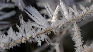 Превью обои лед, кристаллы, ветки, макро, зима