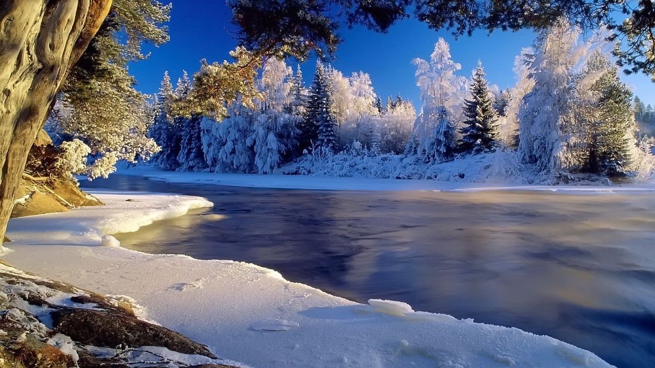 Обои лед, река, течение, деревья, иней, берега