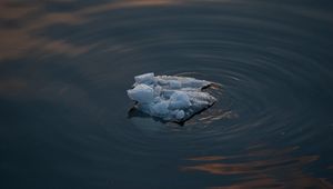 Превью обои лед, вода, айсберг, круги