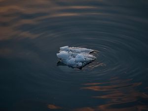 Превью обои лед, вода, айсберг, круги