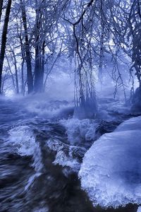 Превью обои лед, вода, поток, река, волны, деревья, ветви, иней