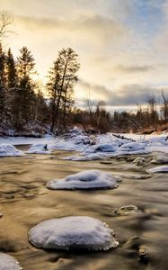 Превью обои лед, вода, река, снег, ели