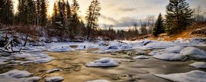 Превью обои лед, вода, река, снег, ели