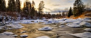 Превью обои лед, вода, река, снег, ели