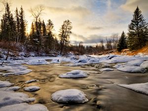 Превью обои лед, вода, река, снег, ели