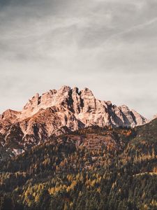 Превью обои леоганг, австрия, горы, деревья