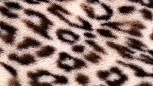 Превью обои леопард, фон, текстура, пятнистый