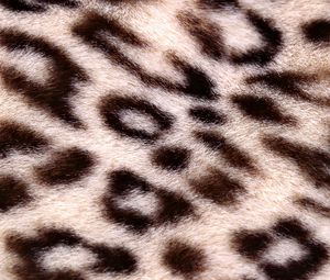 Превью обои леопард, фон, текстура, пятнистый