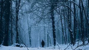Превью обои лес, человек, одиночество, снег, зима