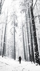Превью обои лес, человек, одиночество, снег, зима, прогулка