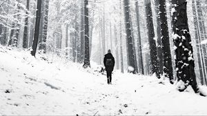 Превью обои лес, человек, одиночество, снег, зима, прогулка