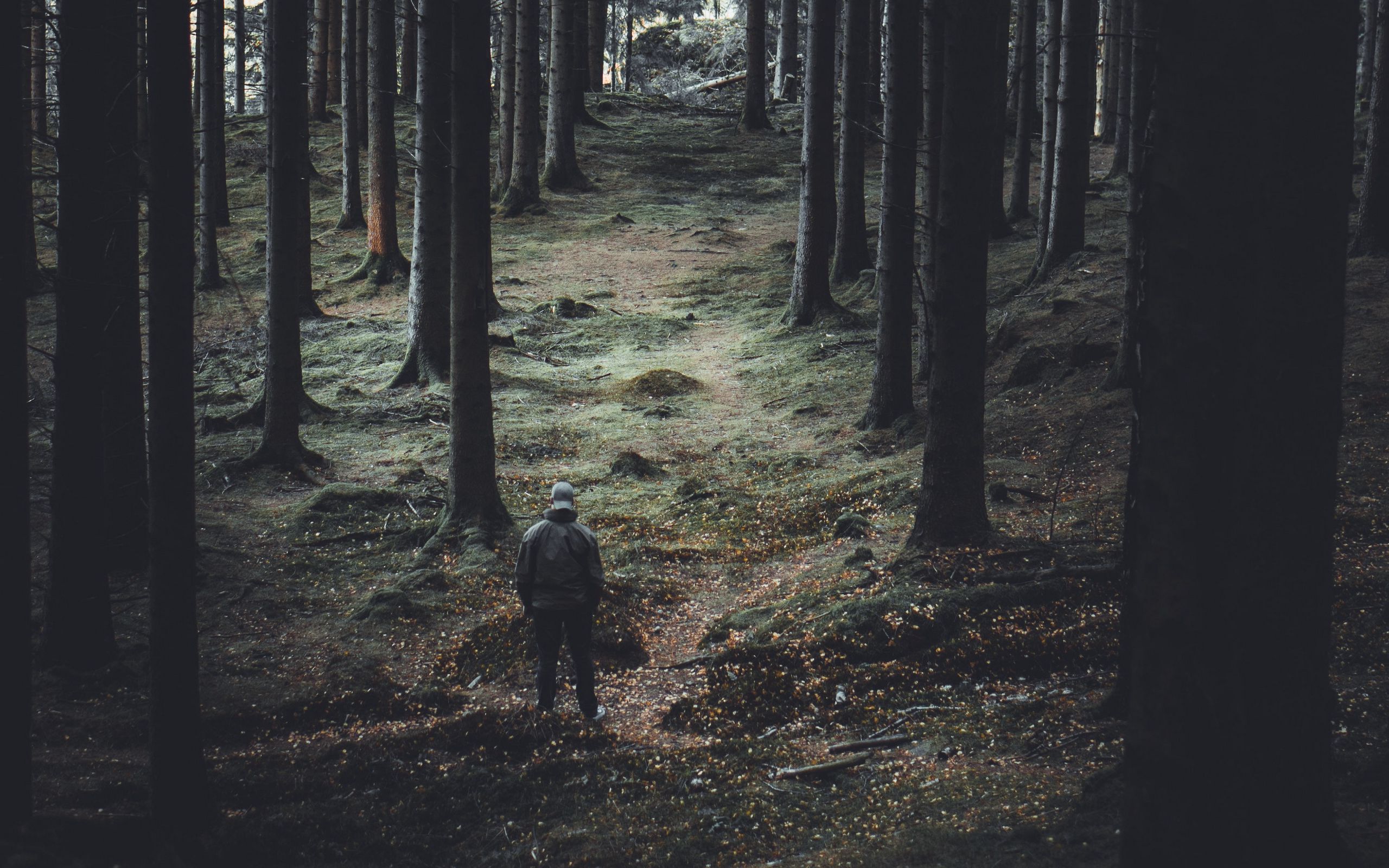 Одинокий человек в лесу