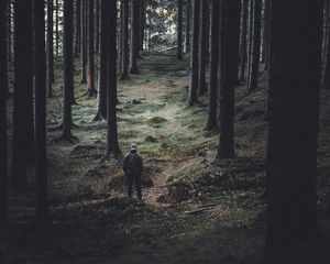 Превью обои лес, деревья, человек, хвойный, стволы
