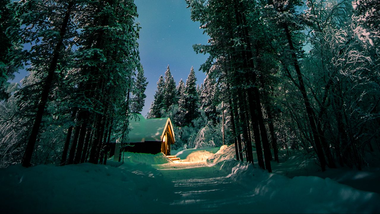 Обои лес, деревья, дом, снег, зима