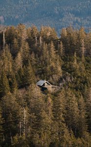 Превью обои лес, деревья, дом, природа