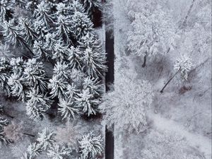 Превью обои лес, деревья, дорога, снег, зима, вид сверху