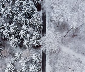 Превью обои лес, деревья, дорога, снег, зима, вид сверху