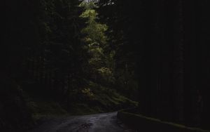 Превью обои лес, деревья, дорога, поворот, природа, темный