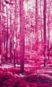 Превью обои лес, деревья, эффект, розовый