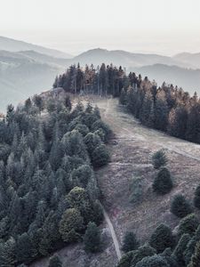 Превью обои лес, деревья, горы, туман, пейзаж