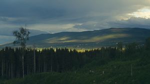 Превью обои лес, деревья, горы, пейзаж, природа