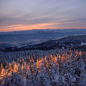 Превью обои лес, деревья, горы, рассвет, снег, природа