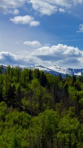 Превью обои лес, деревья, горы, снег, пейзаж, облака