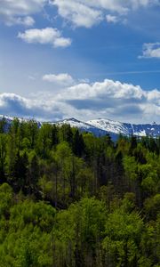 Превью обои лес, деревья, горы, снег, пейзаж, облака