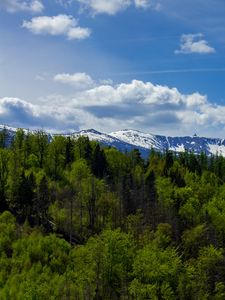 Превью обои лес, деревья, горы, снег, пейзаж, облака