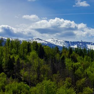 Превью обои лес, деревья, горы, снег, пейзаж, облака