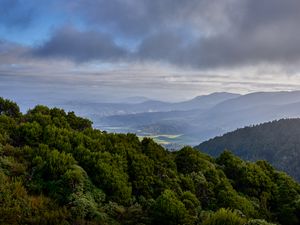 Превью обои лес, деревья, холмы, долина, природа