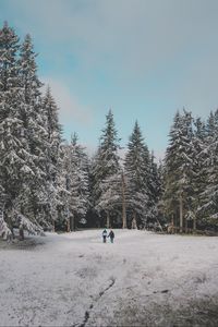 Превью обои лес, деревья, люди, снег, зима