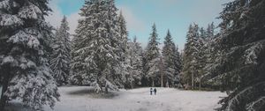 Превью обои лес, деревья, люди, снег, зима