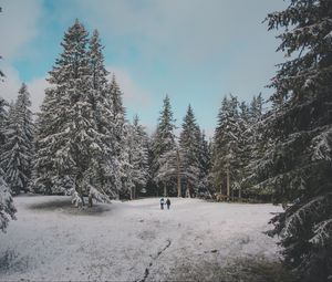 Превью обои лес, деревья, люди, снег, зима