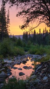 Превью обои лес, деревья, лужа, камни, закат, природа