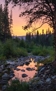 Превью обои лес, деревья, лужа, камни, закат, природа