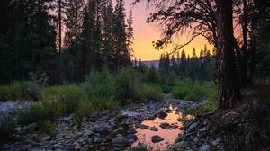 Превью обои лес, деревья, лужа, камни, закат, природа