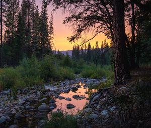 Превью обои лес, деревья, лужа, камни, закат, природа