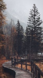 Превью обои лес, деревья, мостик, осень
