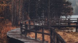 Превью обои лес, деревья, мостик, осень