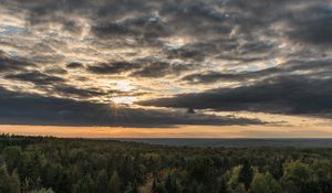 Превью обои лес, деревья, небо, облака, пейзаж, природа