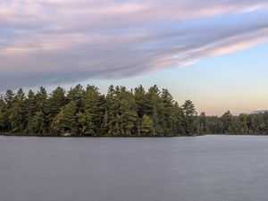 Превью обои лес, деревья, остров, озеро, пейзаж